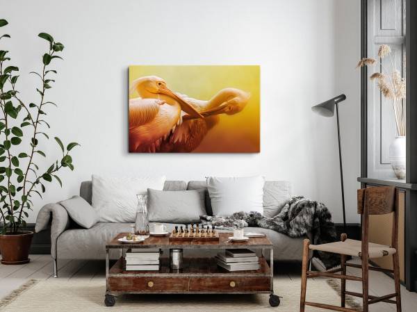 Paul Sinus Art 120x80cm Wandbild auf Leinwand Zwei Pelikane Tierfotografie Kunstvoll Orange Große Rabatte
