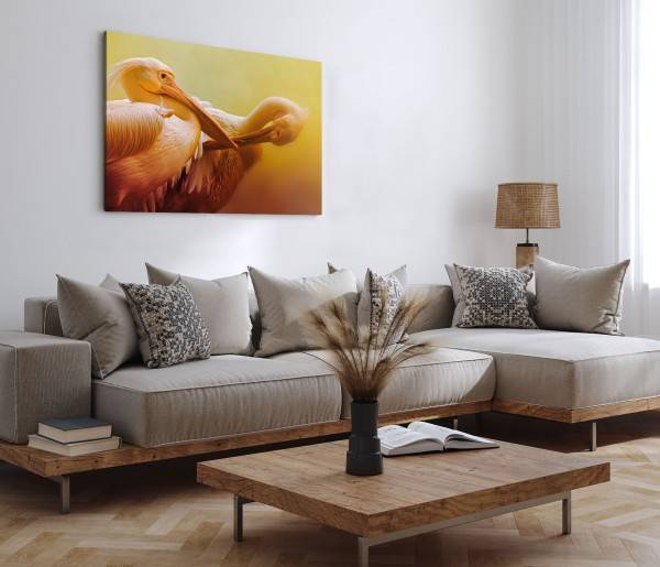 Paul Sinus Art 120x80cm Wandbild auf Leinwand Zwei Pelikane Tierfotografie Kunstvoll Orange Große Rabatte