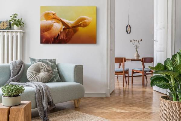 Paul Sinus Art 120x80cm Wandbild auf Leinwand Zwei Pelikane Tierfotografie Kunstvoll Orange Große Rabatte