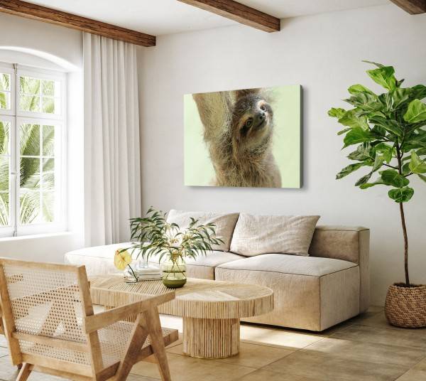 Paul Sinus Art 120x80cm Wandbild auf Leinwand Kleines Faultier Tierfotografie Lustig Faultierbaby Neuheiten