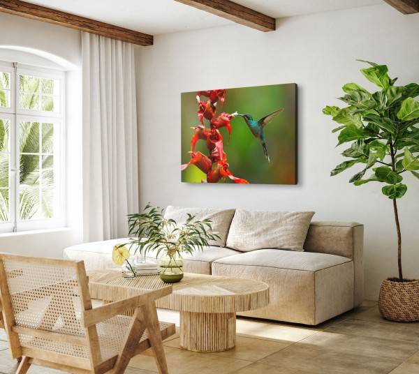 Paul Sinus Art 120x80cm Wandbild auf Leinwand Exotische Blume Regenwald Kolibri kleiner Vogel Saisonale Angebote