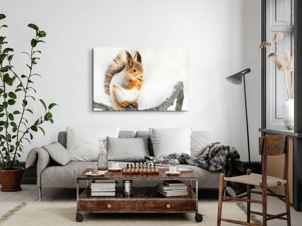 Paul Sinus Art 120x80cm Wandbild auf Leinwand Eichhörnchen auf Ast Tierfotografie Süß Kauf eins, bekomm eins gratis