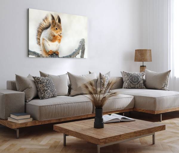 Paul Sinus Art 120x80cm Wandbild auf Leinwand Eichhörnchen auf Ast Tierfotografie Süß Kauf eins, bekomm eins gratis