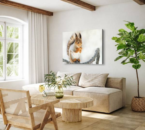 Paul Sinus Art 120x80cm Wandbild auf Leinwand Eichhörnchen auf Ast Tierfotografie Süß Kauf eins, bekomm eins gratis