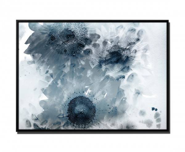 Paul Sinus Art 105x75cm Leinwandbild Petrol Malerei Blüten Sonnenblume