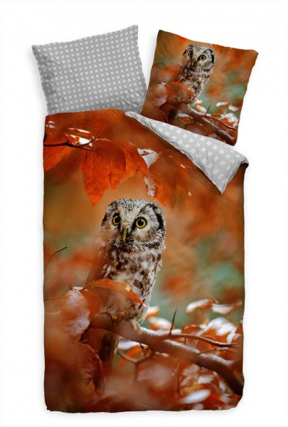 Paul Sinus Art Eule Makro Braun Herbst Wald Bettwäsche Set 135x200 cm + 80x80cm Atmungsaktiv