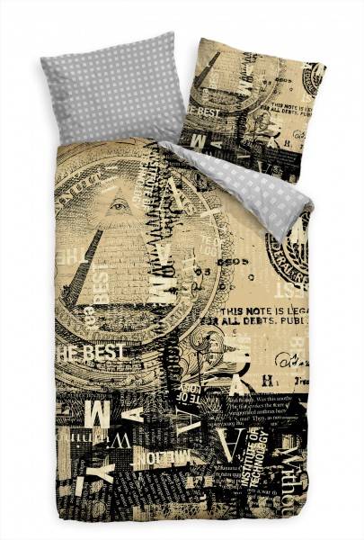 Paul Sinus Art Nahaufnahme Dollar Abstrakt Grunge Bettwäsche Set 135x200 cm + 80x80cm Atmungsaktiv