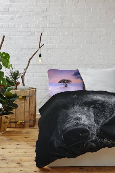 Paul Sinus Art Br Portrait Schwarz Wild Bettwäsche Set 135x200 cm + 80x80cm Atmungsaktiv Online Outlet