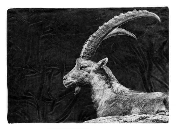 Paul Sinus Art Handtuch Strandhandtuch Saunatuch Kuscheldecke mit Tiermotiv Ziegenbock Bock
