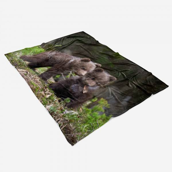 Paul Sinus Art Handtuch Strandhandtuch Saunatuch Kuscheldecke mit Tiermotiv Bärenbabys süße Bä 50% Rabatt für begrenzte Zeit