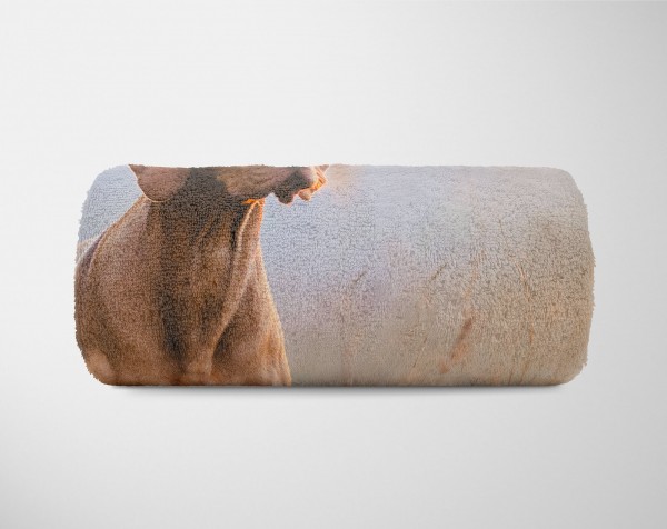 Paul Sinus Art Handtuch Strandhandtuch Saunatuch Kuscheldecke mit Tiermotiv Magyar Vizsla Jagd Online