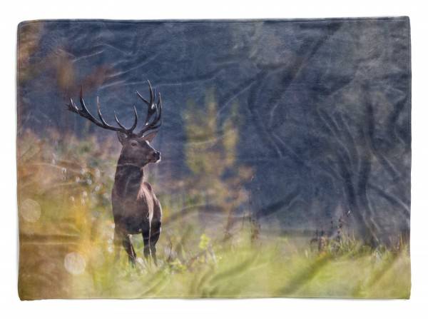 Paul Sinus Art Handtuch Strandhandtuch Saunatuch Kuscheldecke mit Tiermotiv Hirsch Natur Gewei