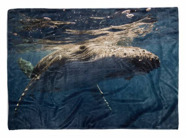Paul Sinus Art Handtuch Strandhandtuch Saunatuch Kuscheldecke mit Tiermotiv Buckelwal unter Wa