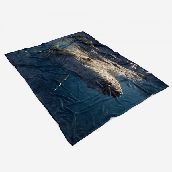 Paul Sinus Art Handtuch Strandhandtuch Saunatuch Kuscheldecke mit Tiermotiv Buckelwal unter Wa Auslauf