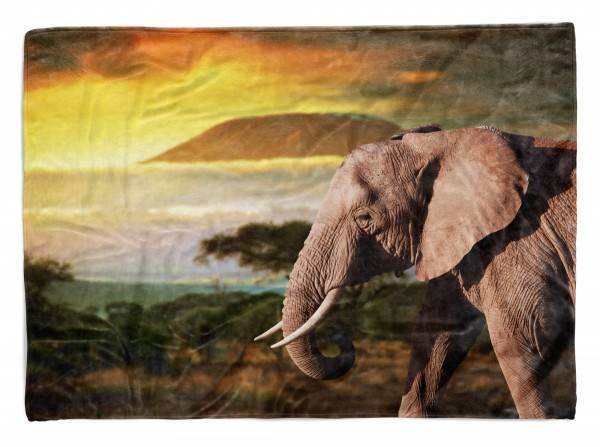 Paul Sinus Art Handtuch Strandhandtuch Saunatuch Kuscheldecke mit Tiermotiv Elefant Afrika Kil
