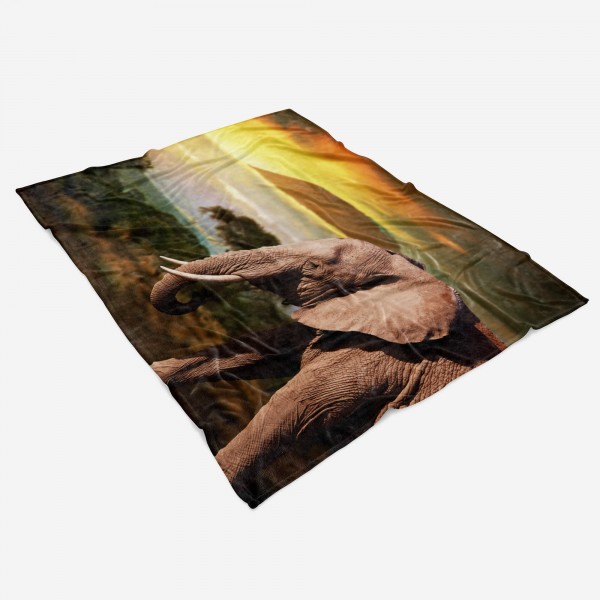 Paul Sinus Art Handtuch Strandhandtuch Saunatuch Kuscheldecke mit Tiermotiv Elefant Afrika Kil Angebote