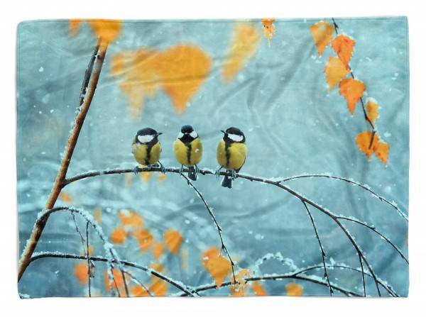 Paul Sinus Art Handtuch Strandhandtuch Saunatuch Kuscheldecke mit Tiermotiv Kleine Vögel Winte