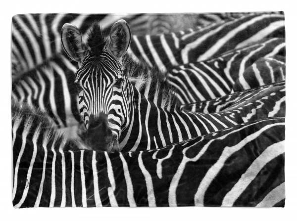 Paul Sinus Art Handtuch Strandhandtuch Saunatuch Kuscheldecke mit Tiermotiv Zebras Herde Schwa