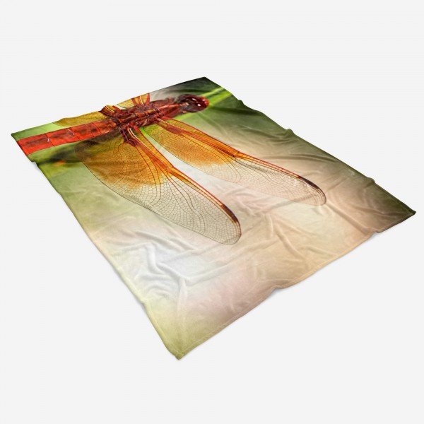 Paul Sinus Art Handtuch Strandhandtuch Saunatuch Kuscheldecke mit Tiermotiv Libelle Flügel Mak Kostenloser Versand