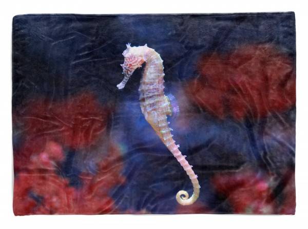Paul Sinus Art Handtuch Strandhandtuch Saunatuch Kuscheldecke mit Tiermotiv Seepferdchen unter