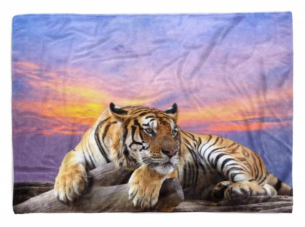 Paul Sinus Art Handtuch Strandhandtuch Saunatuch Kuscheldecke mit Tiermotiv Tiger Natur Abendr