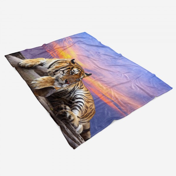 Paul Sinus Art Handtuch Strandhandtuch Saunatuch Kuscheldecke mit Tiermotiv Tiger Natur Abendr Flash Sale
