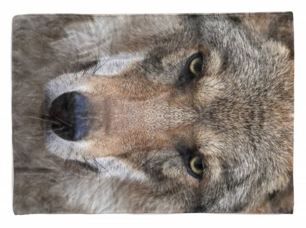Paul Sinus Art Handtuch Strandhandtuch Saunatuch Kuscheldecke mit Tiermotiv Wolf Wild
