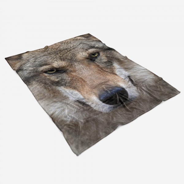 Paul Sinus Art Handtuch Strandhandtuch Saunatuch Kuscheldecke mit Tiermotiv Wolf Wild Begrenztes Angebot