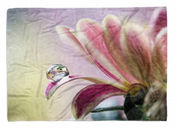 Paul Sinus Art Handtuch Strandhandtuch Saunatuch Kuscheldecke mit Fotomotiv Zinnie Wassertropf
