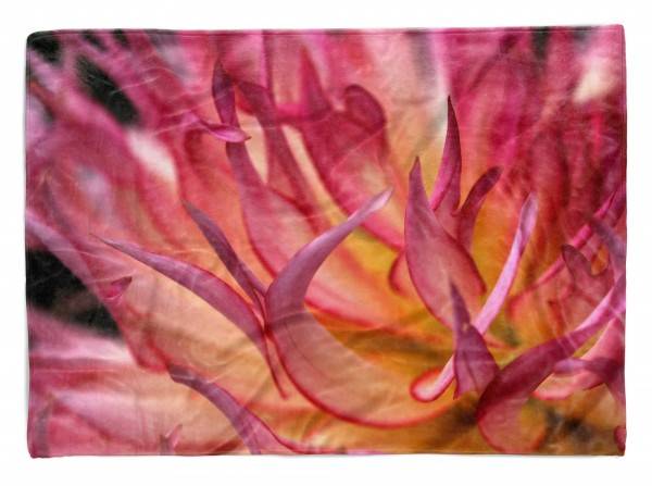 Paul Sinus Art Handtuch Strandhandtuch Saunatuch Kuscheldecke mit Fotomotiv Rote Blüte Blume N