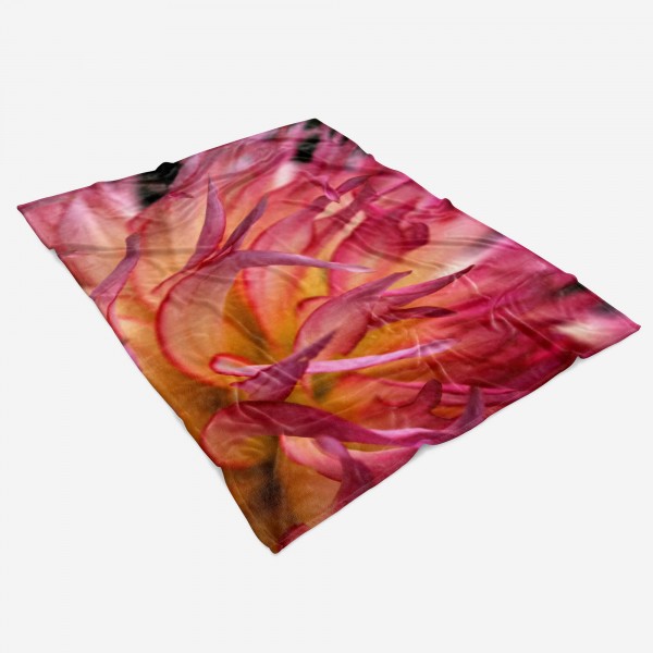 Paul Sinus Art Handtuch Strandhandtuch Saunatuch Kuscheldecke mit Fotomotiv Rote Blüte Blume N Bis zu 65% Rabatt