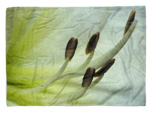Paul Sinus Art Handtuch Strandhandtuch Saunatuch Kuscheldecke mit Fotomotiv Blüte Nahaufnahme