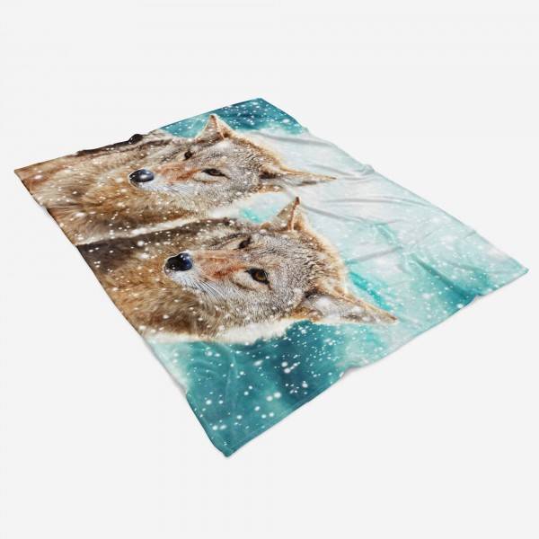 Paul Sinus Art Handtuch Strandhandtuch Saunatuch Kuscheldecke mit Tiermotiv zwei Füchse Schnee Nur noch ein Tag übrig