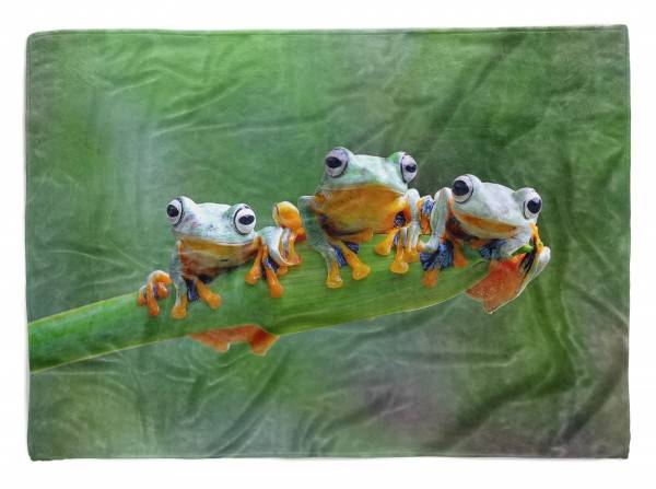 Paul Sinus Art Handtuch Strandhandtuch Saunatuch Kuscheldecke mit Tiermotiv drei kleine Frösch