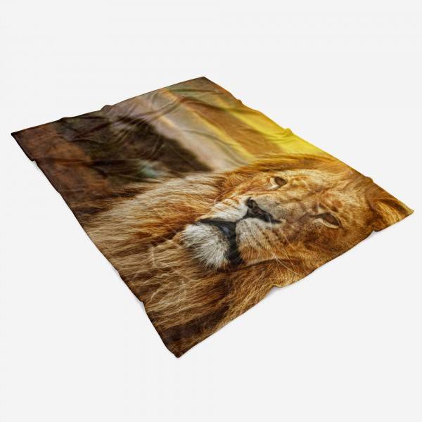 Paul Sinus Art Handtuch Strandhandtuch Saunatuch Kuscheldecke mit Tiermotiv Löwe König der Tie 50% Rabatt mit kostenlosem Versand