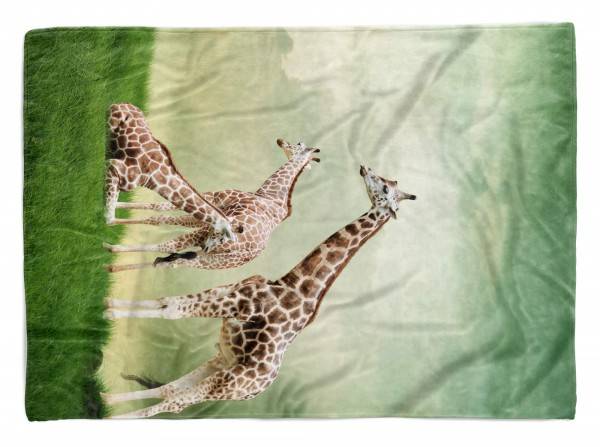 Paul Sinus Art Handtuch Strandhandtuch Saunatuch Kuscheldecke mit Tiermotiv Giraffe auf Wiese