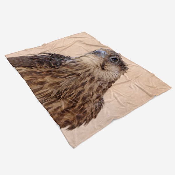 Paul Sinus Art Handtuch Strandhandtuch Saunatuch Kuscheldecke mit Tiermotiv Falke Raubvogel Speichern exportieren