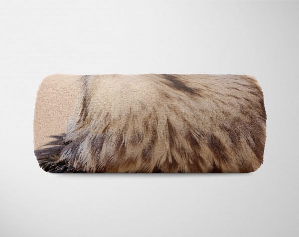 Paul Sinus Art Handtuch Strandhandtuch Saunatuch Kuscheldecke mit Tiermotiv Falke Raubvogel Speichern exportieren