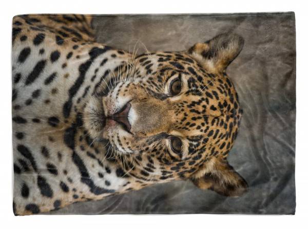 Paul Sinus Art Handtuch Strandhandtuch Saunatuch Kuscheldecke mit Tiermotiv Jaguar Raubkatze