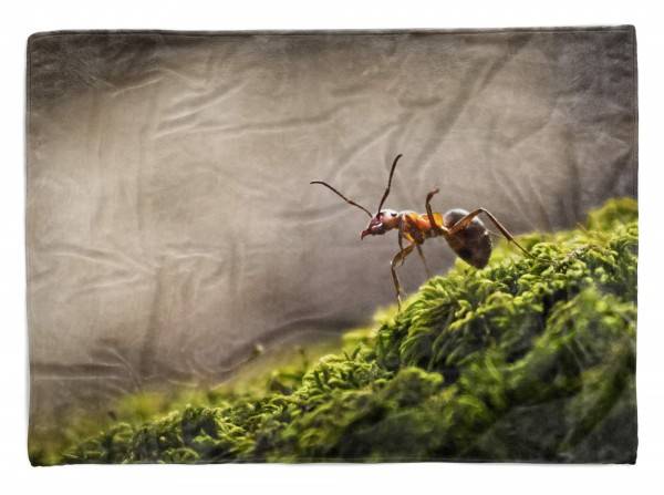 Paul Sinus Art Handtuch Strandhandtuch Saunatuch Kuscheldecke mit Tiermotiv Ameise Wald Makrof