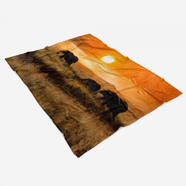 Paul Sinus Art Handtuch Strandhandtuch Saunatuch Kuscheldecke mit Tiermotiv Elefanten Afrika S im Angebot