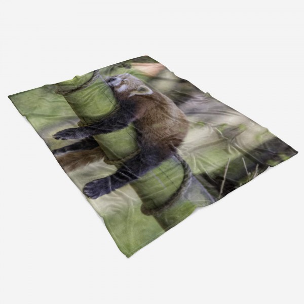 Paul Sinus Art Handtuch Strandhandtuch Saunatuch Kuscheldecke mit Tiermotiv roter Panda hängt Schlussverkauf