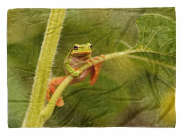 Paul Sinus Art Handtuch Strandhandtuch Saunatuch Kuscheldecke mit Tiermotiv Frosch Grün