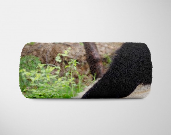 Paul Sinus Art Handtuch Strandhandtuch Saunatuch Kuscheldecke mit Tiermotiv Panda Pandabär Limitierter Zeitrabatt