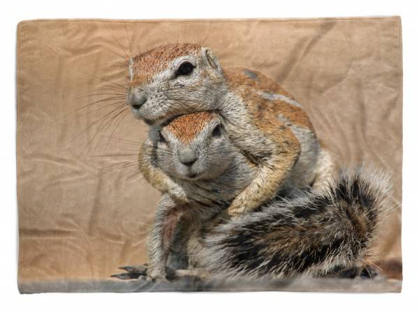 Paul Sinus Art Handtuch Strandhandtuch Saunatuch Kuscheldecke mit Tiermotiv Erdhörnchen Süß