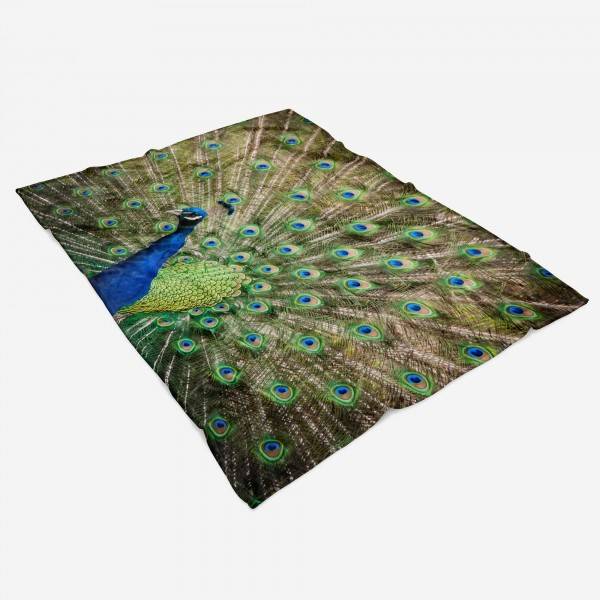 Paul Sinus Art Handtuch Strandhandtuch Saunatuch Kuscheldecke mit Tiermotiv Pfau schönes Feder Rabatt