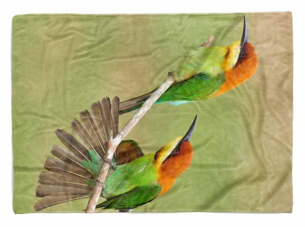 Paul Sinus Art Handtuch Strandhandtuch Saunatuch Kuscheldecke mit Tiermotiv Prachtfinken klein
