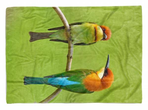 Paul Sinus Art Handtuch Strandhandtuch Saunatuch Kuscheldecke mit Tiermotiv Prachtfinken klein