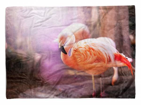 Paul Sinus Art Handtuch Strandhandtuch Saunatuch Kuscheldecke mit Tiermotiv Flamingo Kunstvoll
