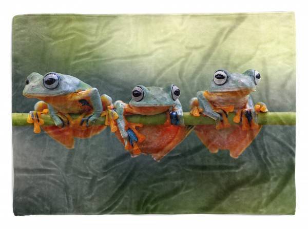 Paul Sinus Art Handtuch Strandhandtuch Saunatuch Kuscheldecke mit Tiermotiv drei Frösche hänge